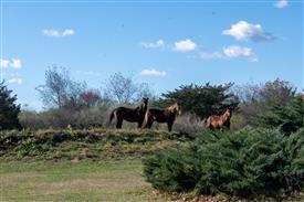 LR-WRF-1142025-Retreat-7340