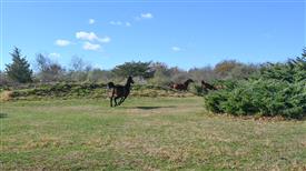 LR-WRF-1142025-Retreat-7368