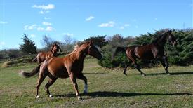 LR-WRF-1142025-Retreat-7419