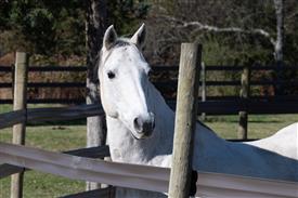 LR-WRF-1142025-Retreat-7448