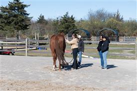 LR-WRF-1142025-Retreat-7478