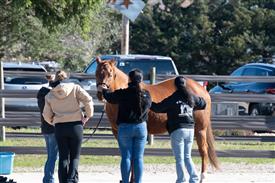 LR-WRF-1142025-Retreat-7532