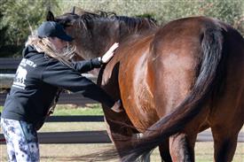 LR-WRF-1142025-Retreat-7541