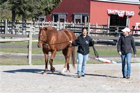 LR-WRF-1142025-Retreat-7569