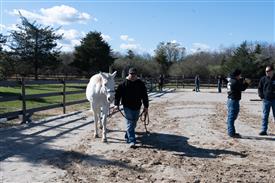 LR-WRF-1142025-Retreat-7652