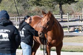 LR-WRF-1142025-Retreat-7842