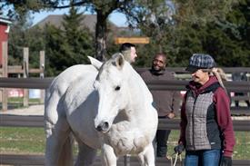 LR-WRF-1142025-Retreat-7858