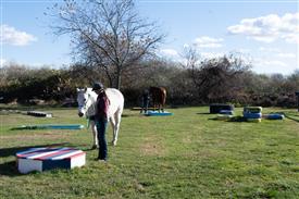 LR-WRF-1142025-Retreat-7924