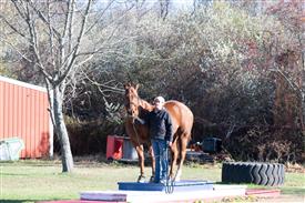 LR-WRF-1142025-Retreat-7947