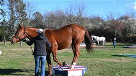 LR-WRF-1142025-Retreat-7978