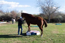 LR-WRF-1142025-Retreat-8002