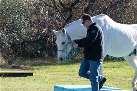 LR-WRF-1142025-Retreat-8072