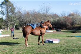 LR-WRF-1142025-Retreat-8186