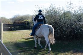 LR-WRF-1142025-Retreat-8196