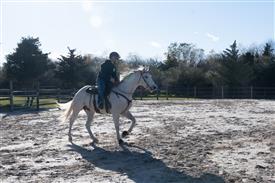 LR-WRF-1142025-Retreat-8299