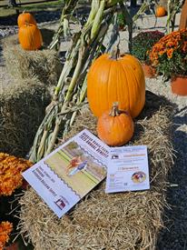 LR-WRF-2025Benefit-130058