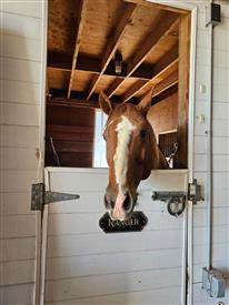 LR-WRF-2025Benefit-131212