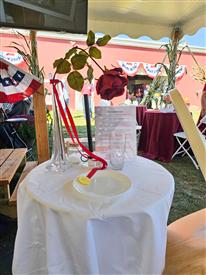 LR-WRF-2025Benefit-132734