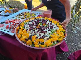 LR-WRF-2025Benefit-144601