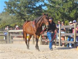 LR-WRF-2025Benefit-155729