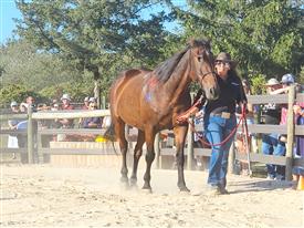 LR-WRF-2025Benefit-155730