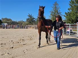 LR-WRF-2025Benefit-155737