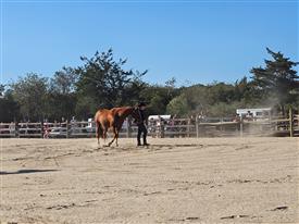 LR-WRF-2025Benefit-155759