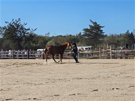 LR-WRF-2025Benefit-155810