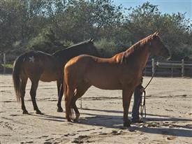 LR-WRF-2025Benefit-155830