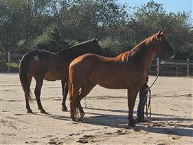 LR-WRF-2025Benefit-155831