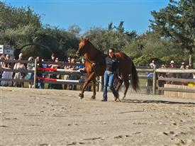 LR-WRF-2025Benefit-155926