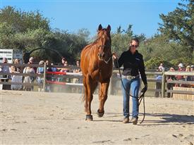 LR-WRF-2025Benefit-155932