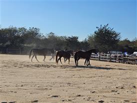 LR-WRF-2025Benefit-160000