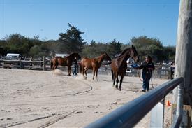 LR-WRF-2025Benefit-6055