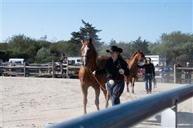 LR-WRF-2025Benefit-6061