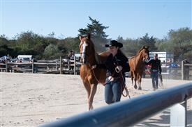 LR-WRF-2025Benefit-6062