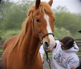 NCPD-05062025-Retreat-1901
