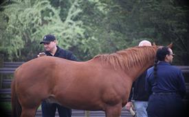 NCPD-05062025-Retreat-1919