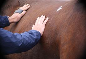 NCPD-05062025-Retreat-1920