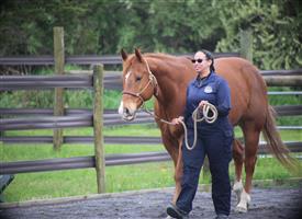 NCPD-05062025-Retreat-1996
