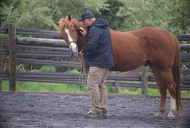 NCPD-05062025-Retreat-2019