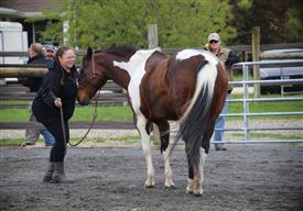 NCPD-05062025-Retreat-2059