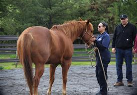 NCPD-05062025-Retreat-2062