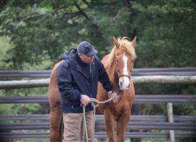 NCPD-05062025-Retreat-2089